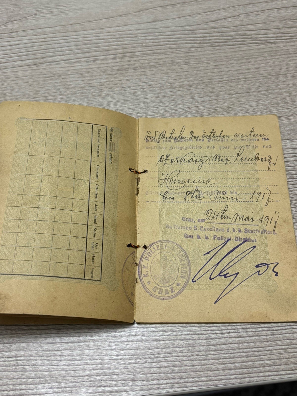 Antique Vintage Expired Austrian Hungarian Empire Documents 1910s Expired Visas