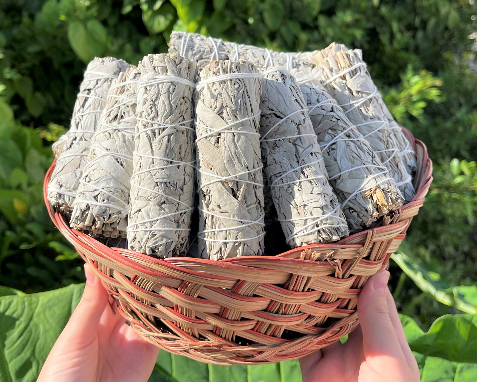 White Sage Smudge Stick, 4": Choose How Many (Bundle, House Cleansing, Bulk Lot)