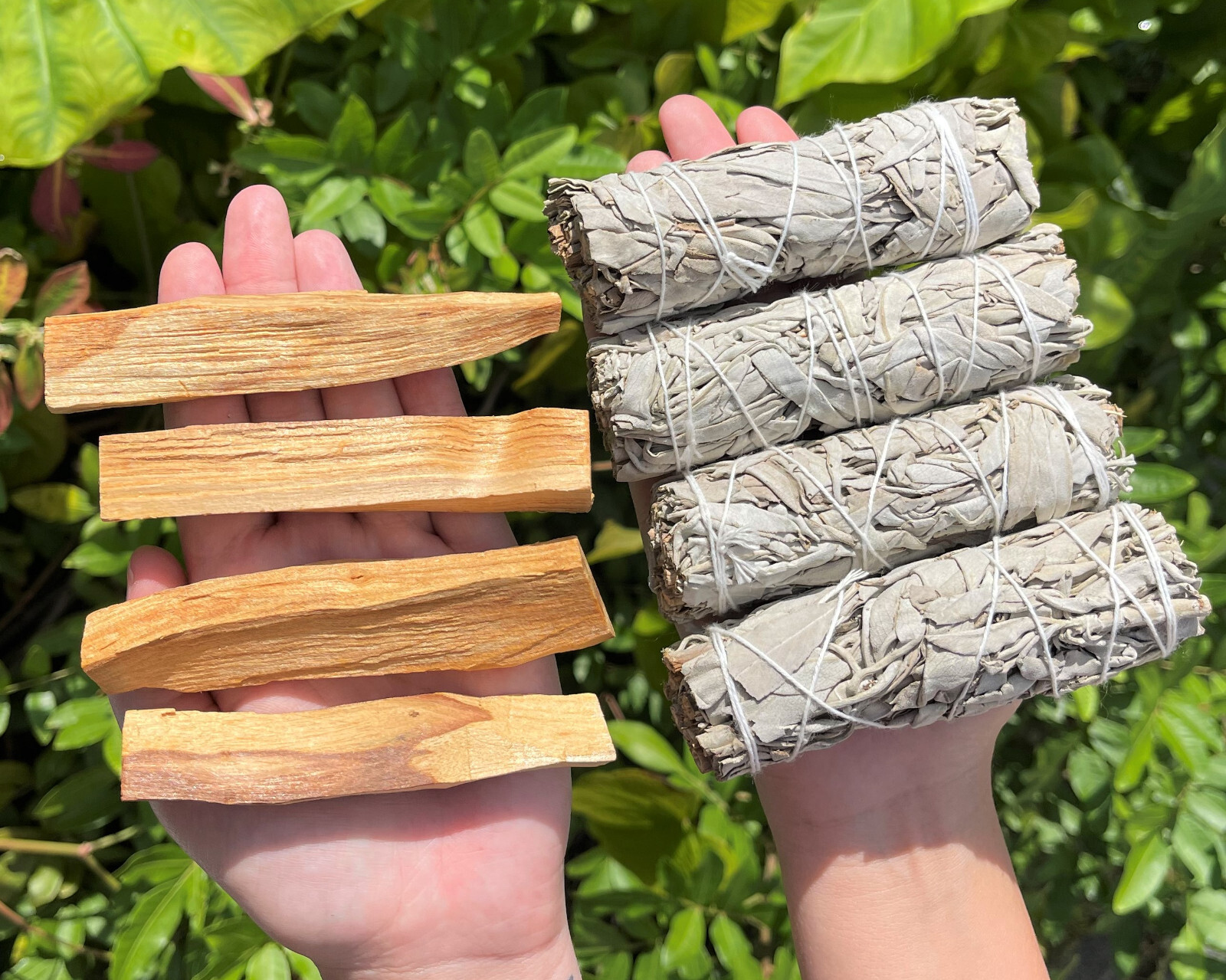 4 White Sage Smudge Sticks + 4 Palo Santo Wood Sticks - House Cleansing Bundle