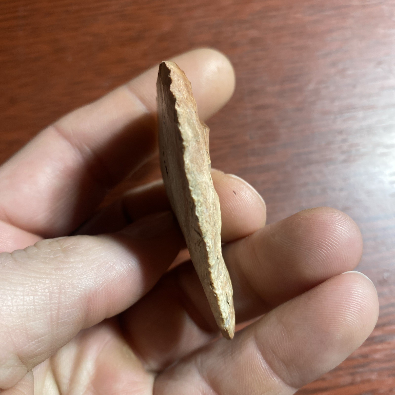 MLC s8236 2 1/4” Archaic Knife Blade Arrowhead Wisconsin Stone Artifact