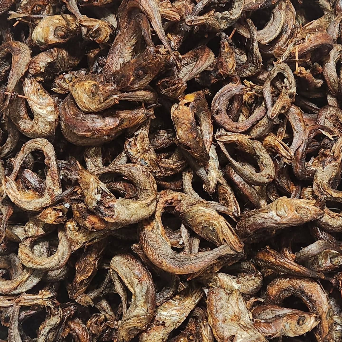 100pcs DRY PANLA FISH