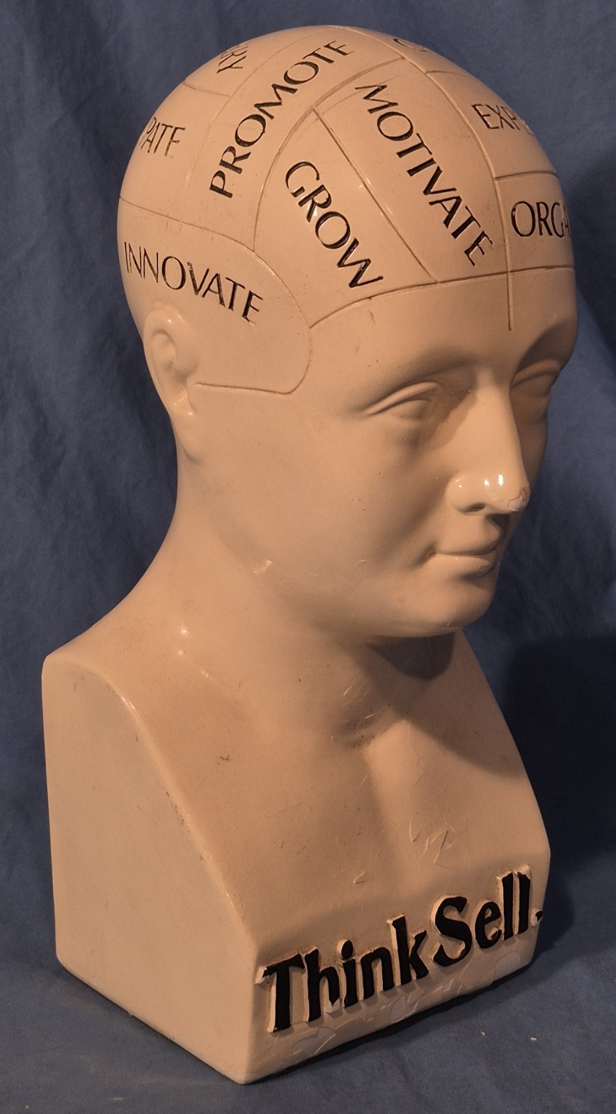 Vintage 11" Phrenology Bust / Head Statue, Chalkware (?), Scientific Psychology