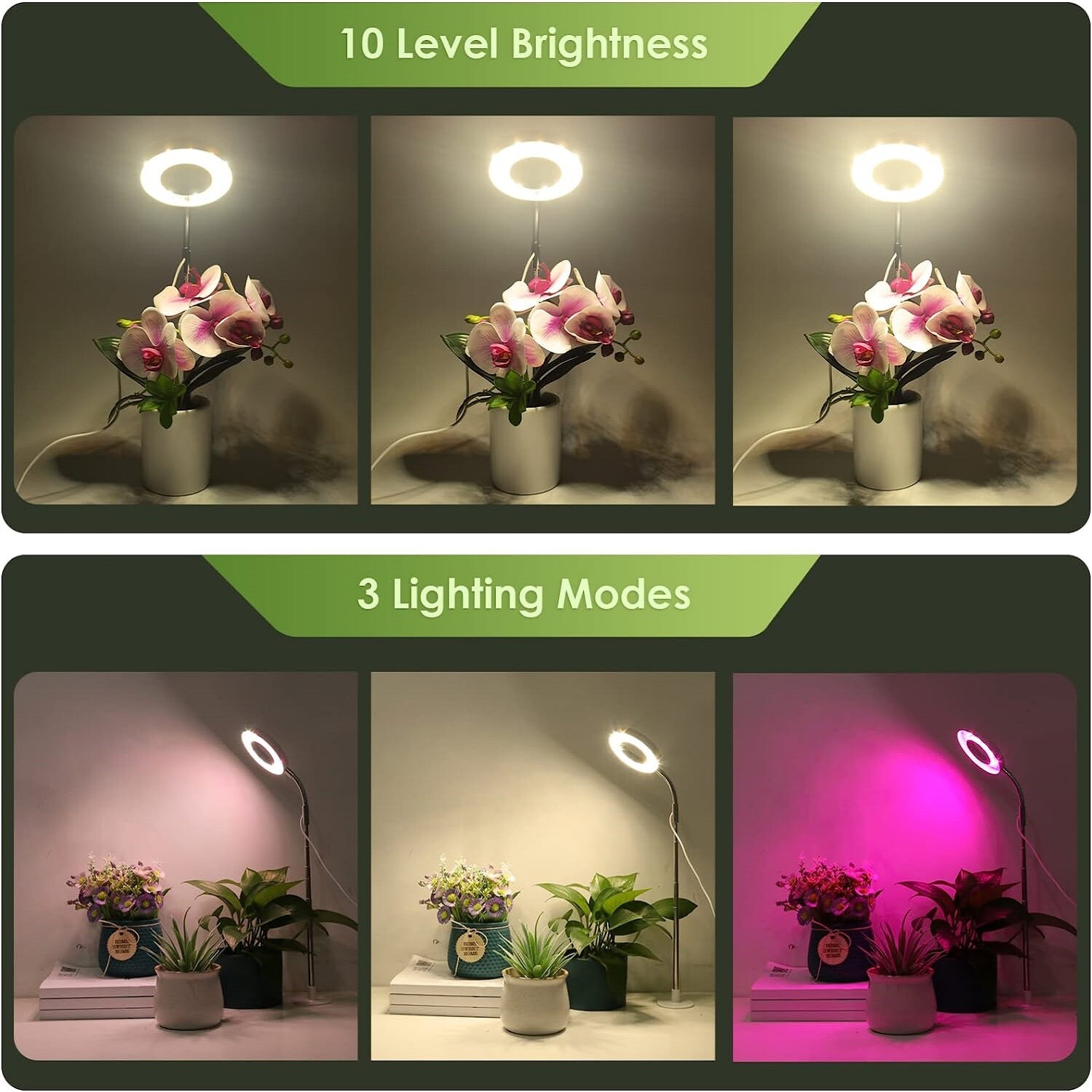 LED Grow Light for Indoor Plants with Stand UV& Full Spectrum Halo Growing Lamp