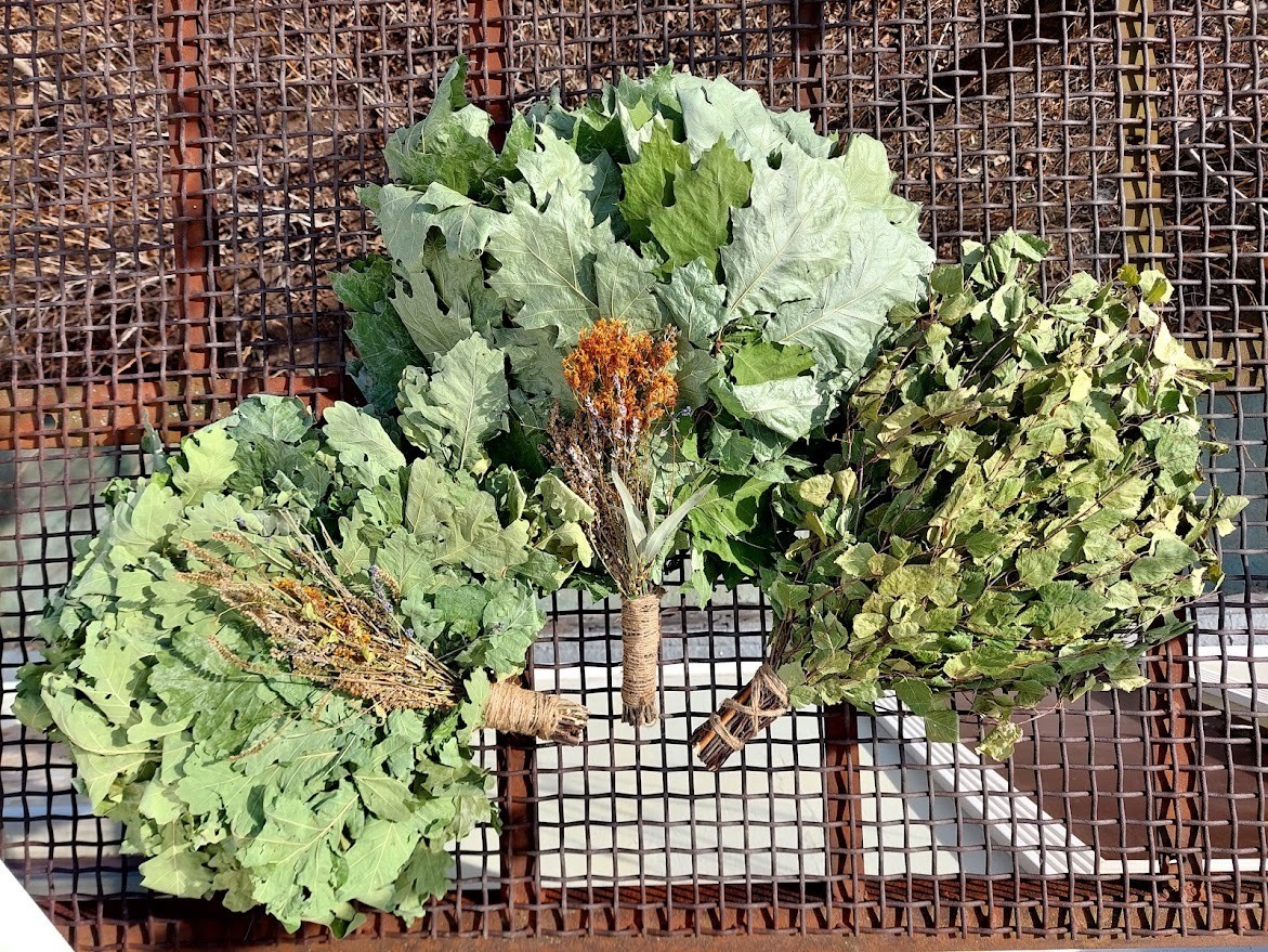 18st Oak canadian brooms+herbs sauna banya venik whisks Eiche 2025 Ukraine free