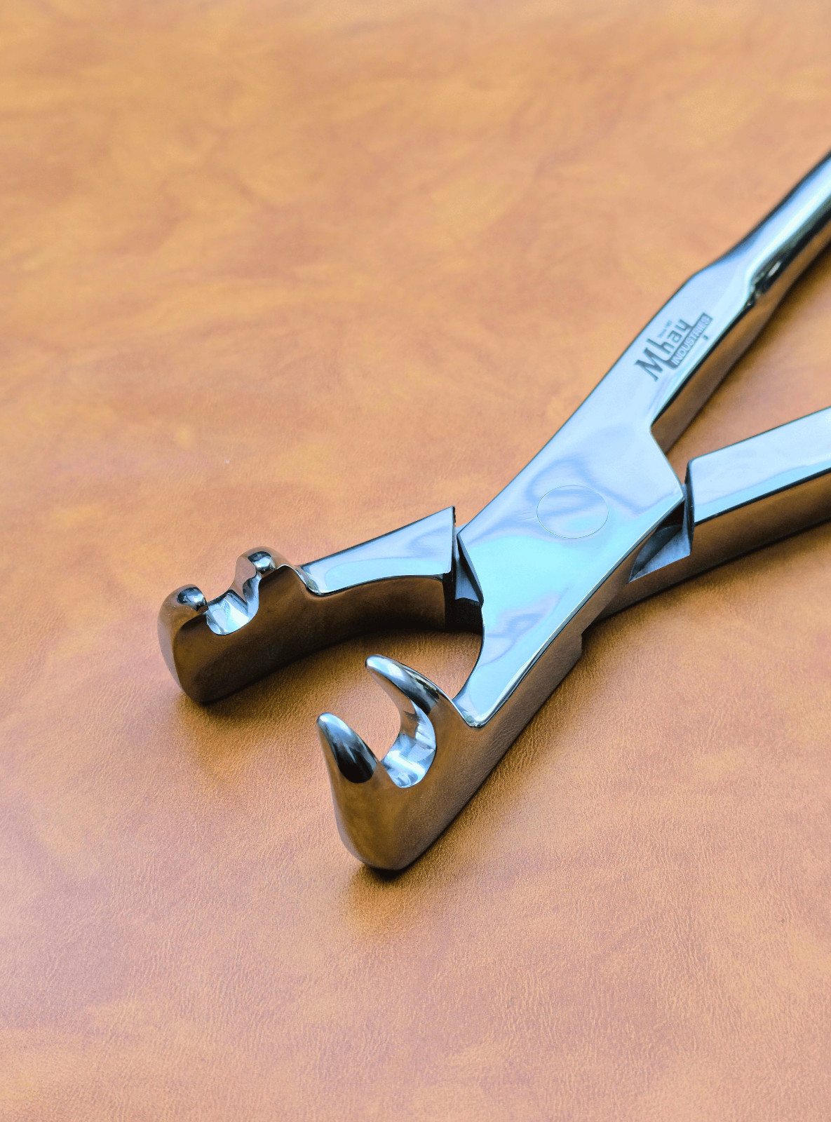 Equine Dental Forceps Four Prong 21"