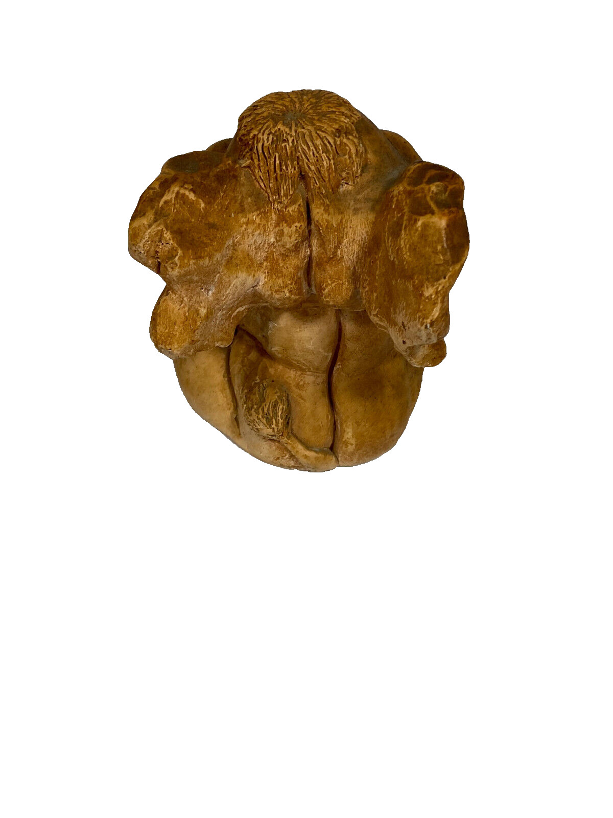 Glogs Comedic Art Composite Sitting Elephant Eating Peanuts