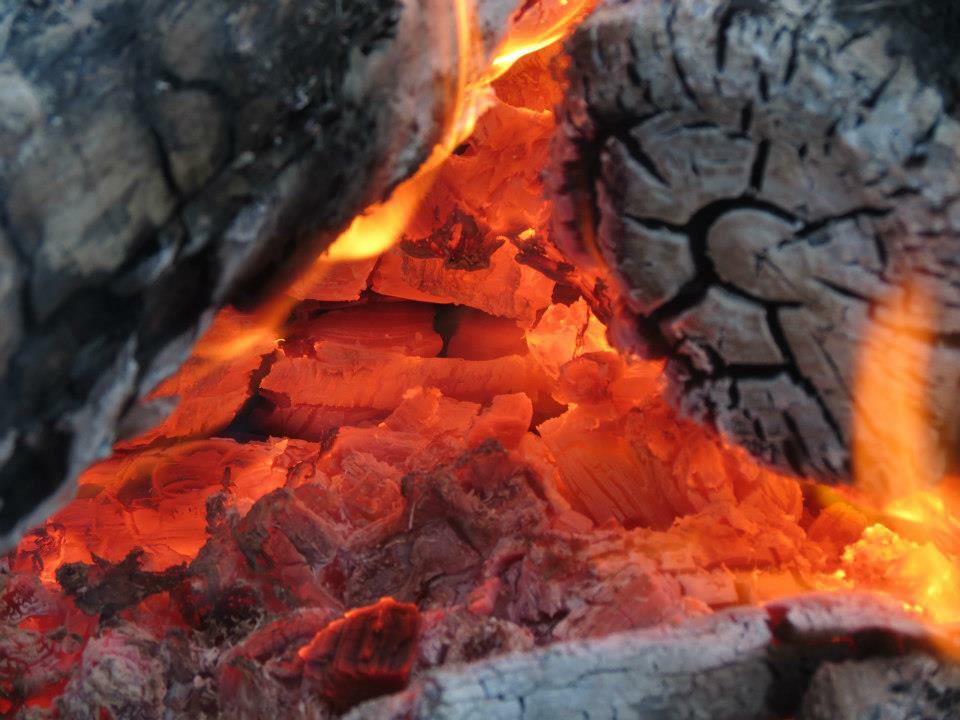 Maple sugar candy in decorative tin 1 lbs. 1/2 lbs.