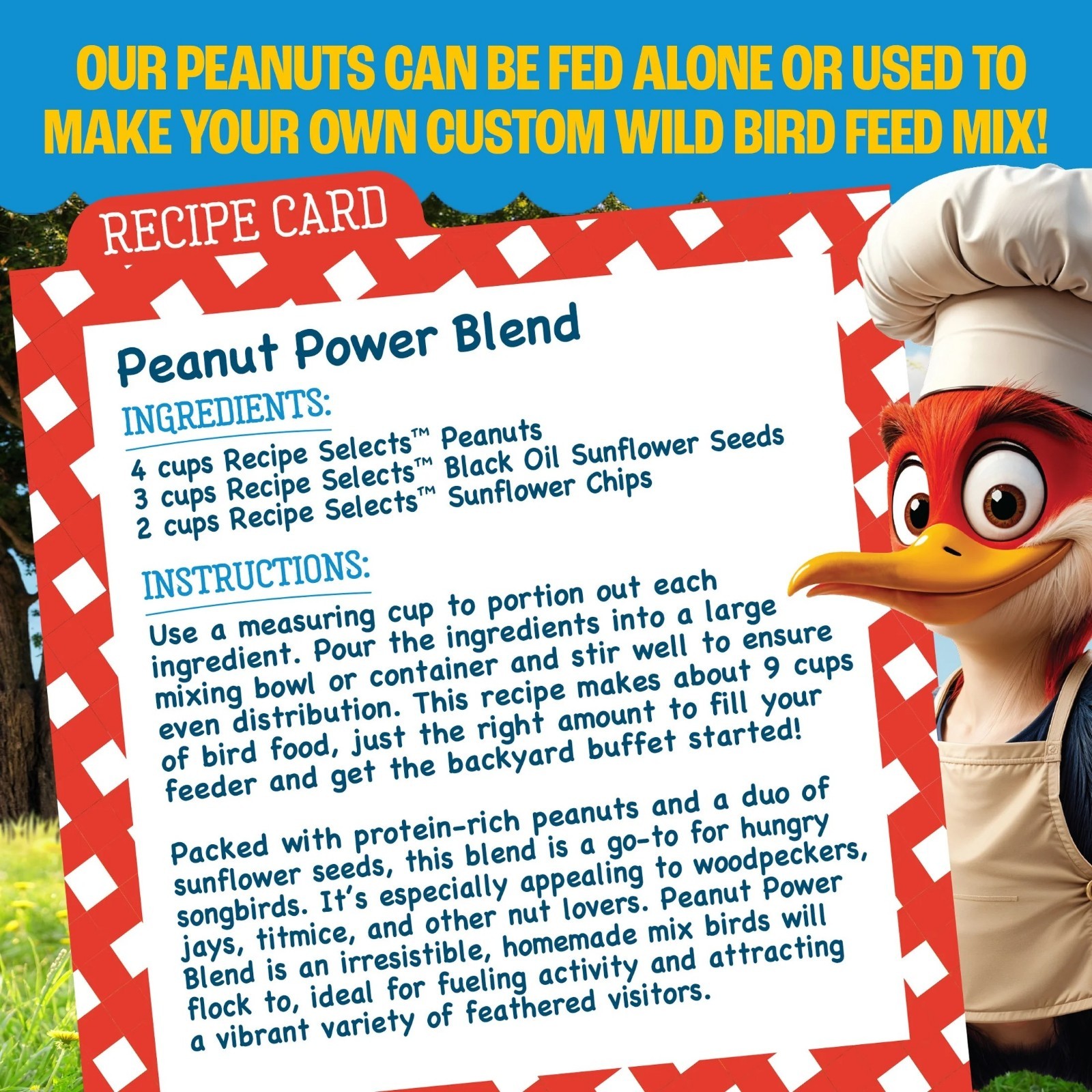 Pennington Shelled Peanuts Wildlife and Wild Bird Food, 5 lb. Bag, 1 Pack, Dry