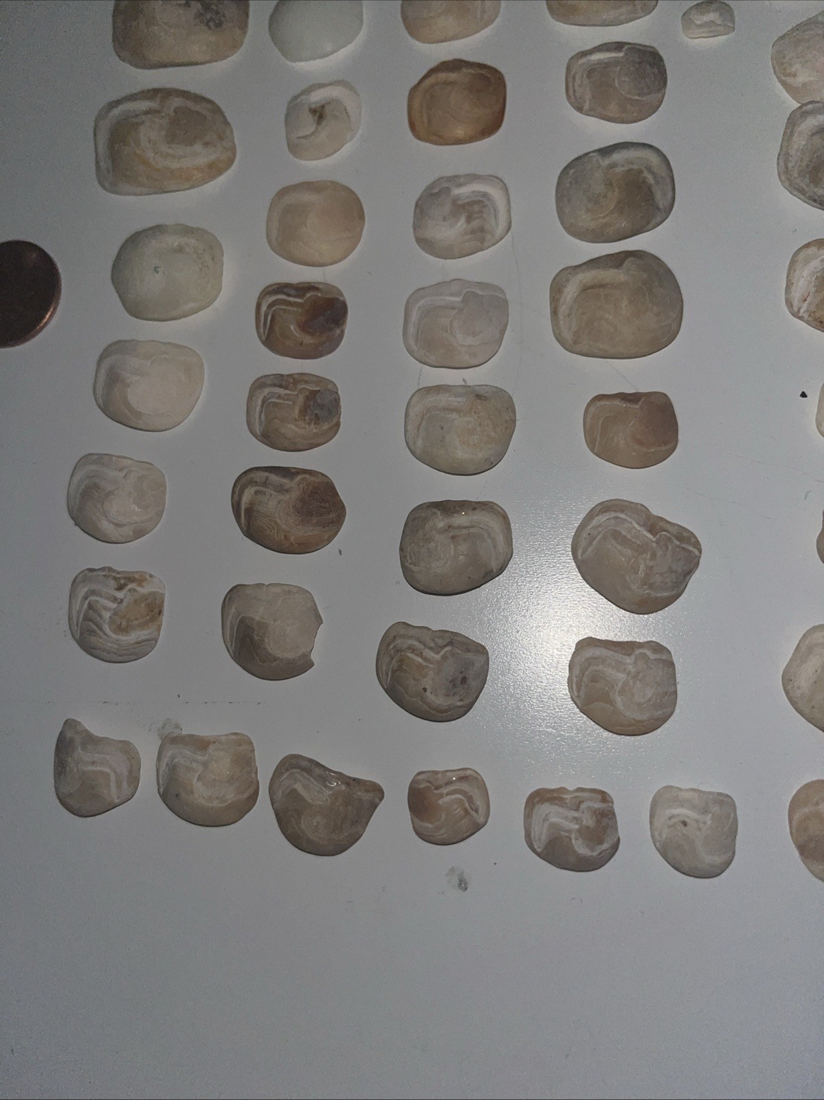 Lake Erie Lucky Stones Otolith Bones Crafts Decor Lot Of 42 Various Colors Sizes