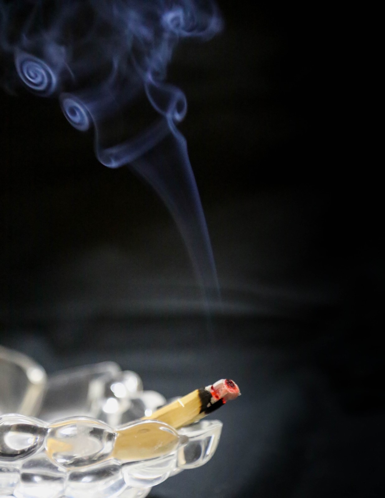 Palo Santo Incense 25 fresh sticks (4+inches long)