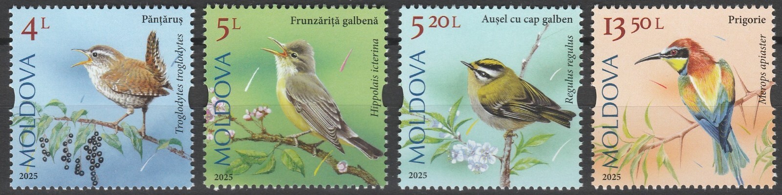 Moldova 2025 Birds, Songbirds 4 MNH stamps