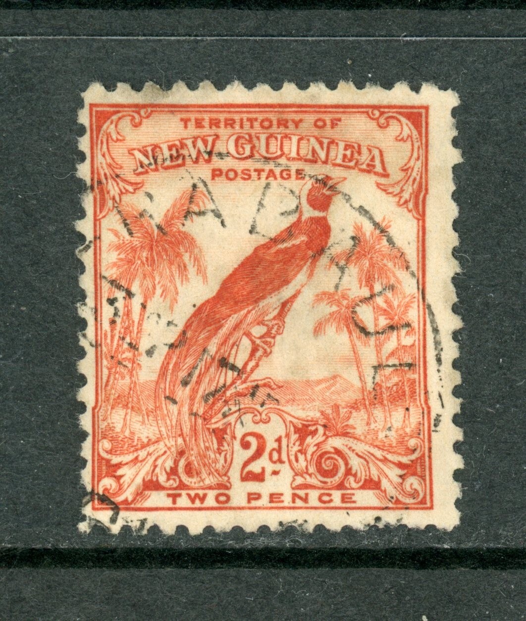 NEW GUINEA old stamp / 24-11-4d / , used