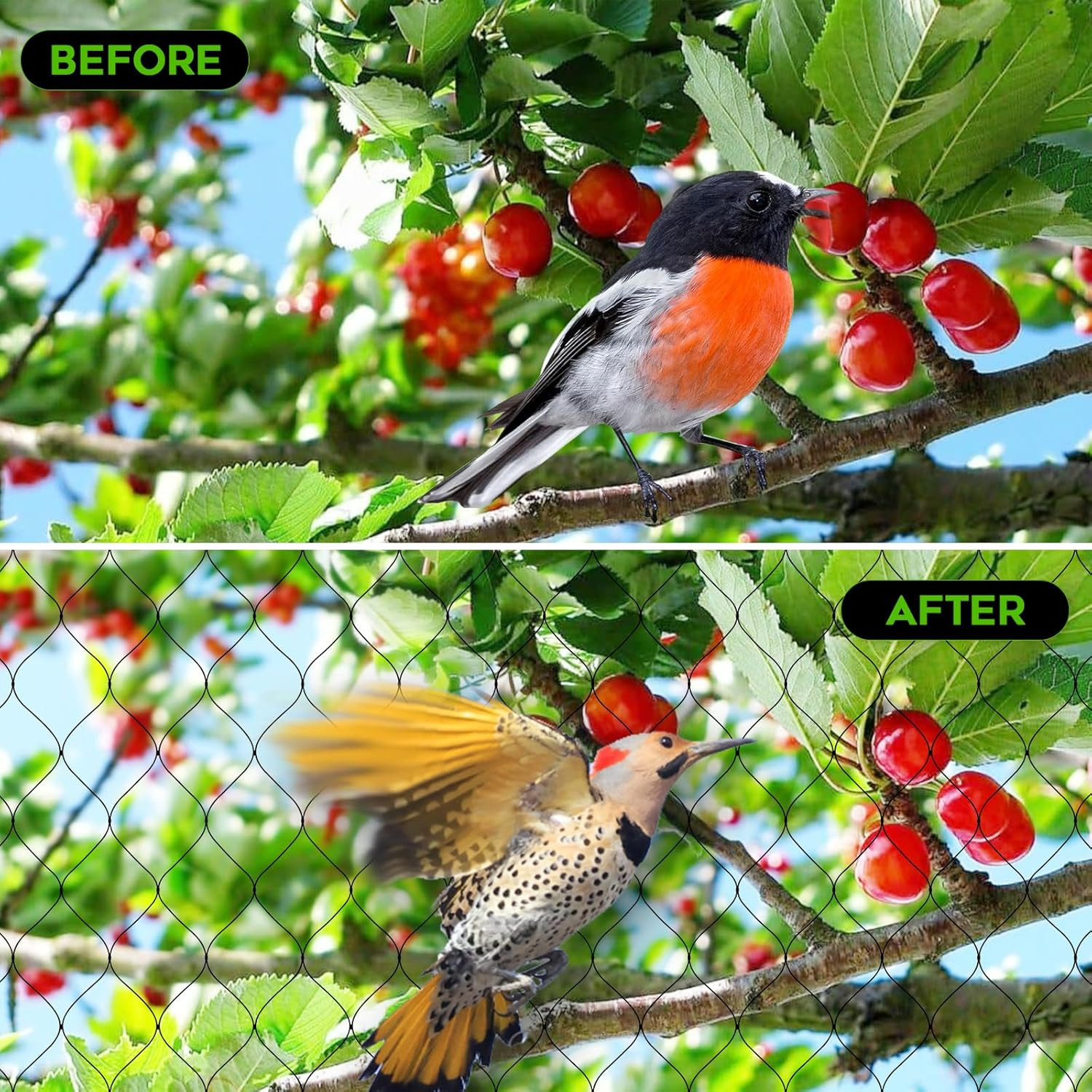 Garden Fence Landscape Deer Fencing Animal Protects Strong Netting 7x100 Borders