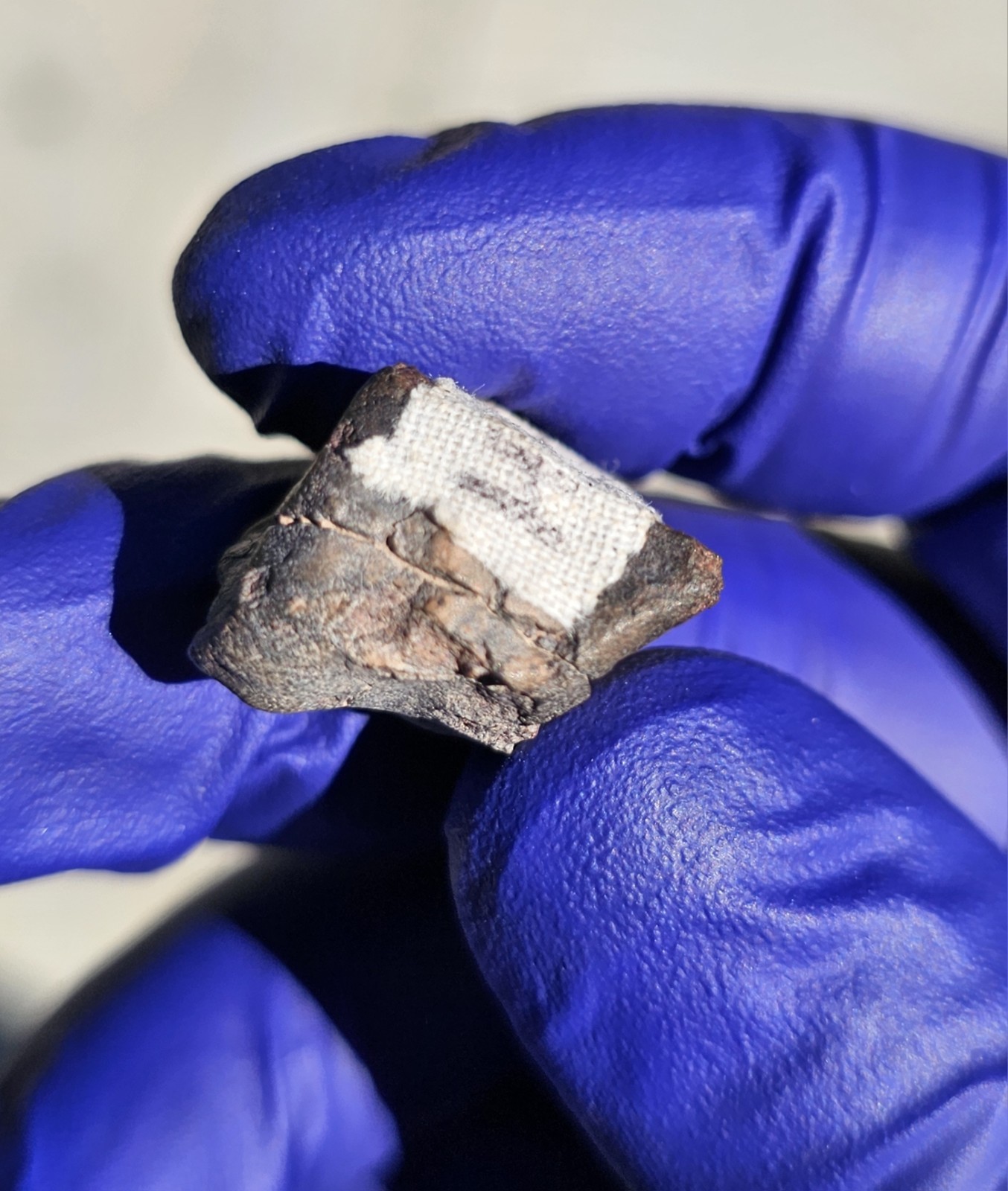 Atacama Desert, Chile | 7.871 Grams | Fusion Crusted Individual