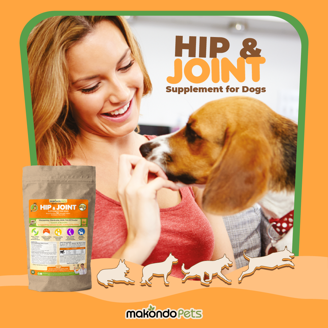 Hip and Joint Supplement for Dogs-Turmeric, Glucosamine. Dog Pain Relief 90 Tabs