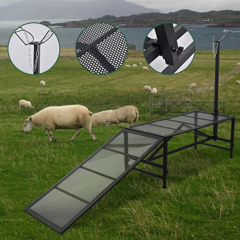 Livestock Stand Goat Milking Trimming Stand W/Ramp Adjust Height Nose Loop