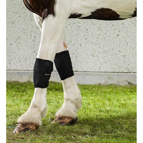 Back on Track Knee Boots - Equine (pair), Color: Black, Size: S (20370001)