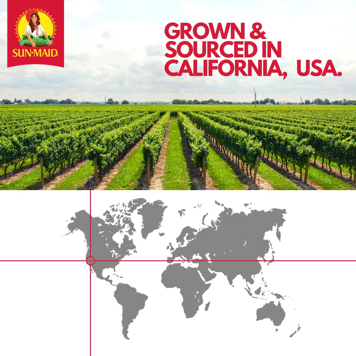 Sun-Maid | Organic Califorina Raisins | 32 Ounce Resealable Bag (Pack Of 2) - 64