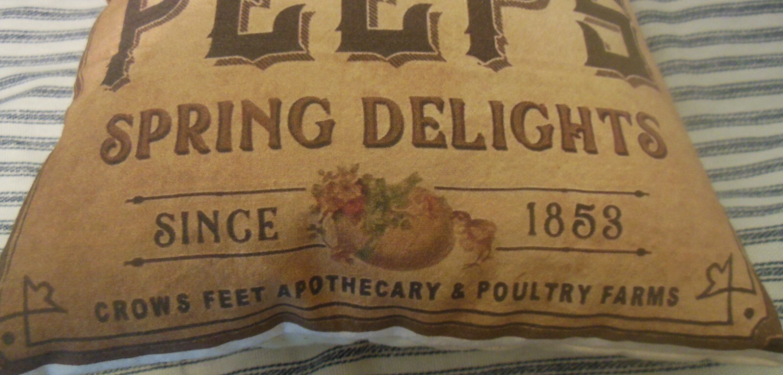 Primitive Peeps / LARGE Pillow Folk Art/Farmhouse/ Ornie/Tuck/Spring Easter