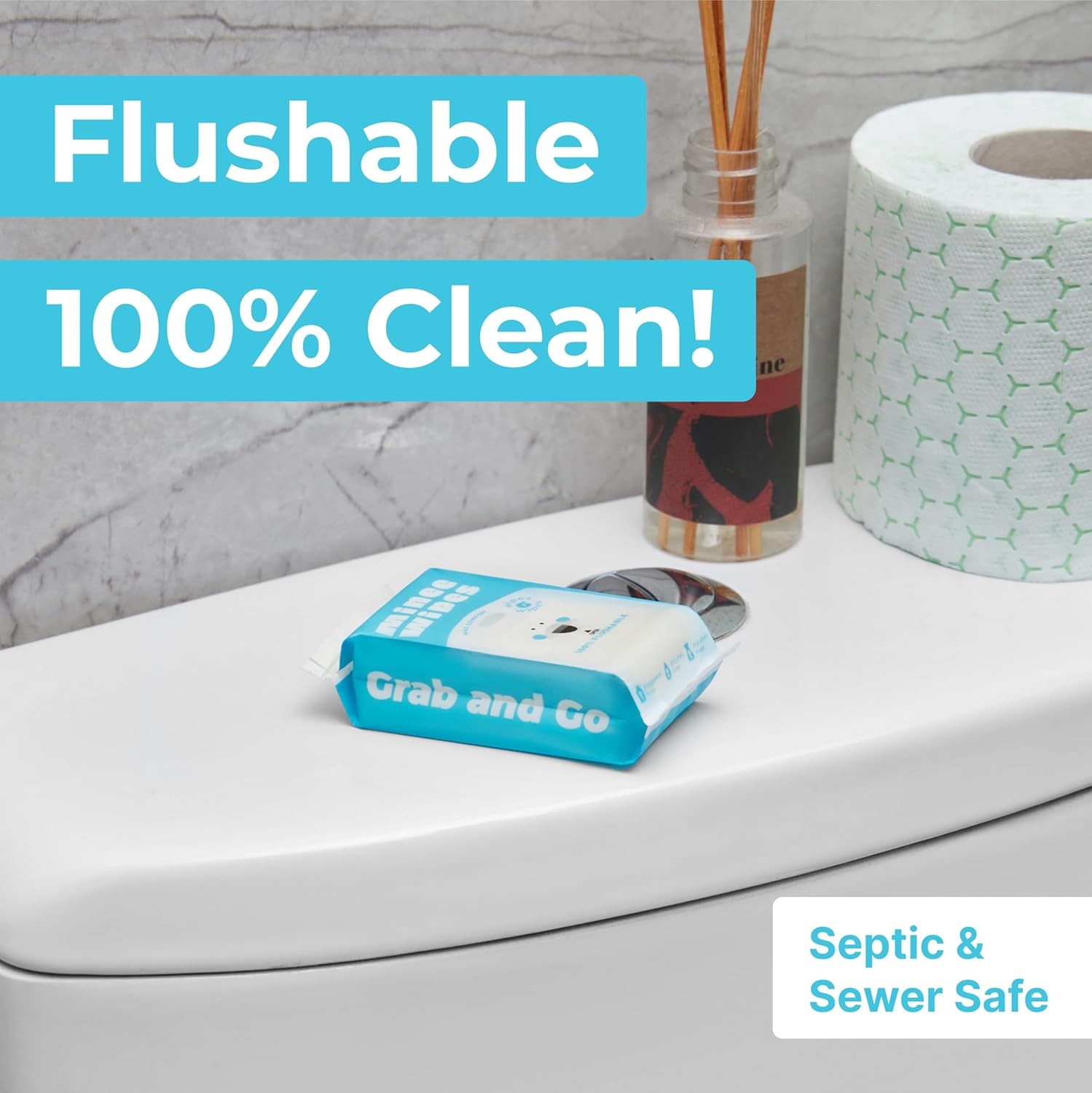 Hypoallergenic Travel Wipes - Safe & Flushable for All Ages - 48 Count