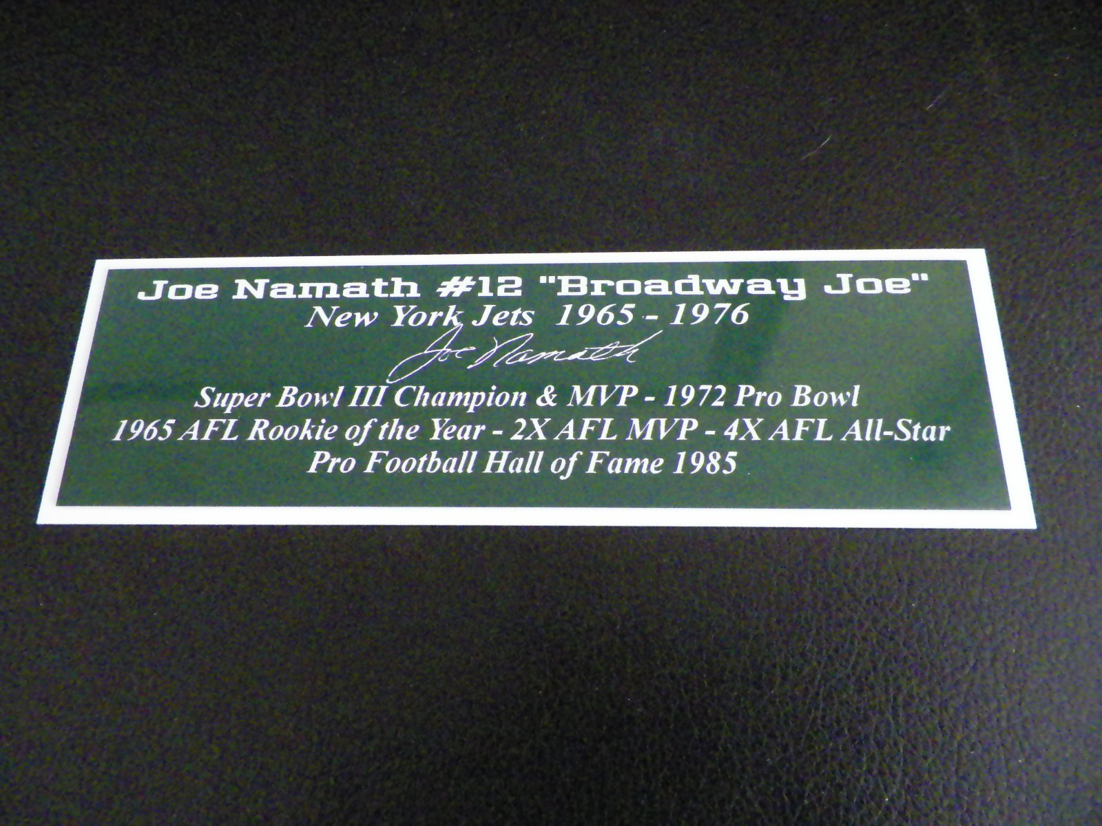 Larry Bird Nameplate Boston Celtics Autograph Photo Basketball Jersey