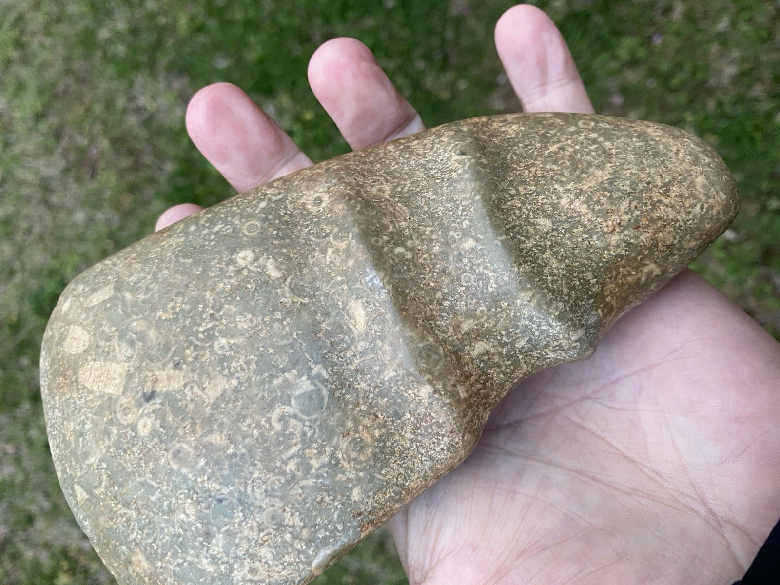 Native American Stone Axe Head