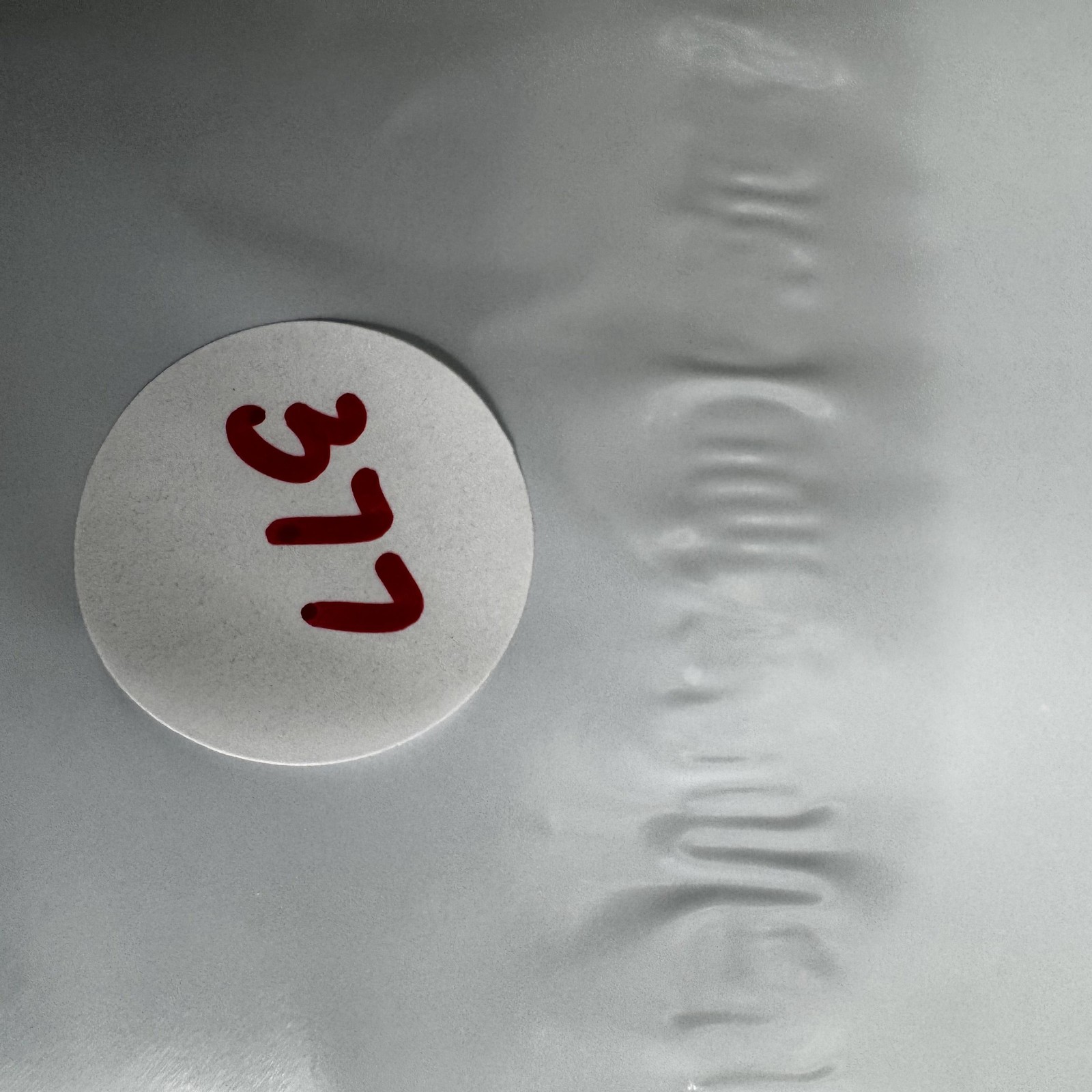 Lululemon Shorts Womens 4 Run Speed Athletic Lined Zip Pocket Lightweight Gym