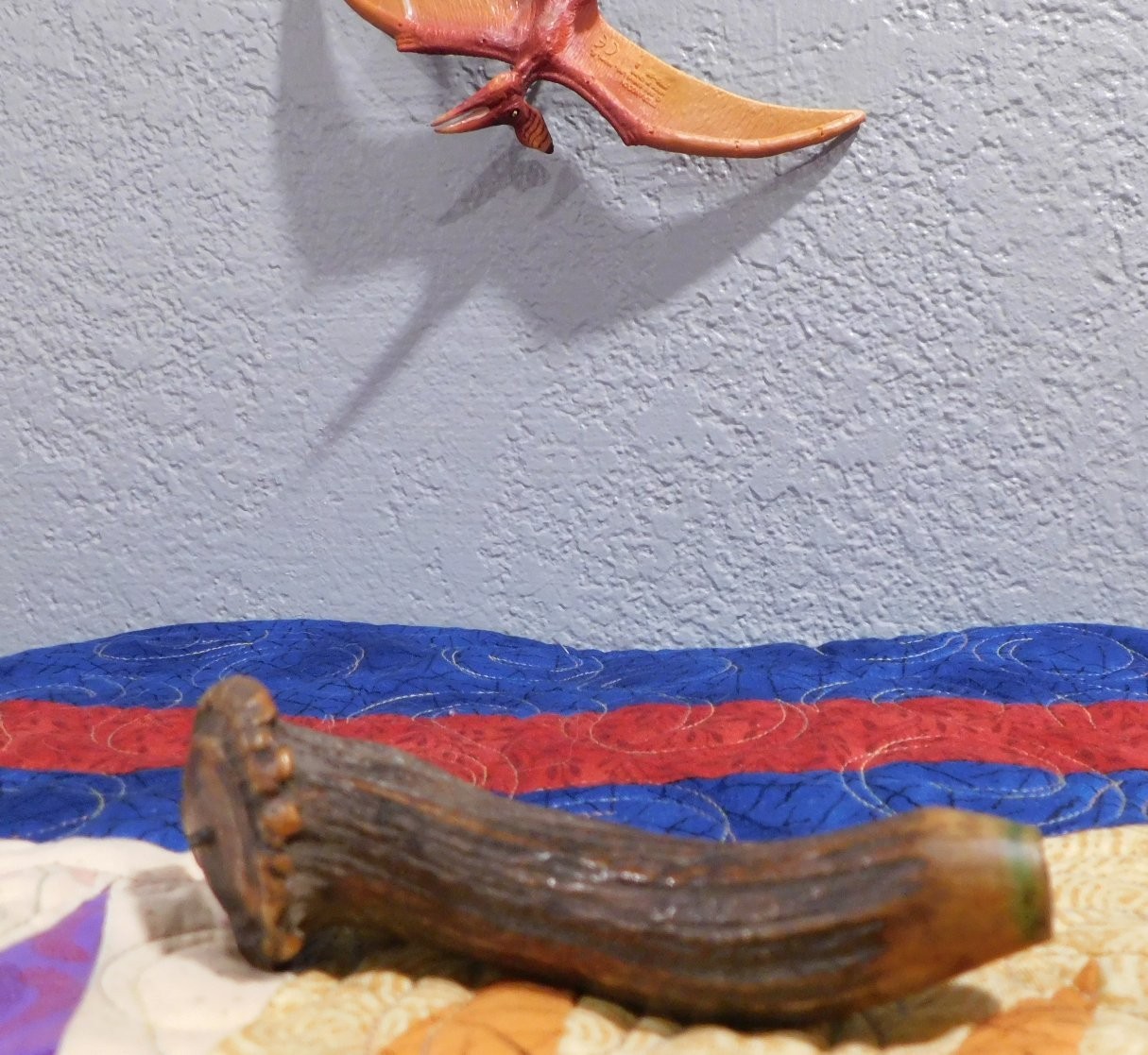 Fossilized Ice Age Deer antler in remarkable condition