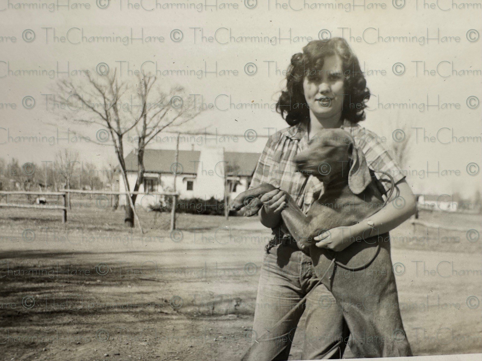 Vintage Photo Attractive Lady Weimaraner Breed Dog Pet 1940’s