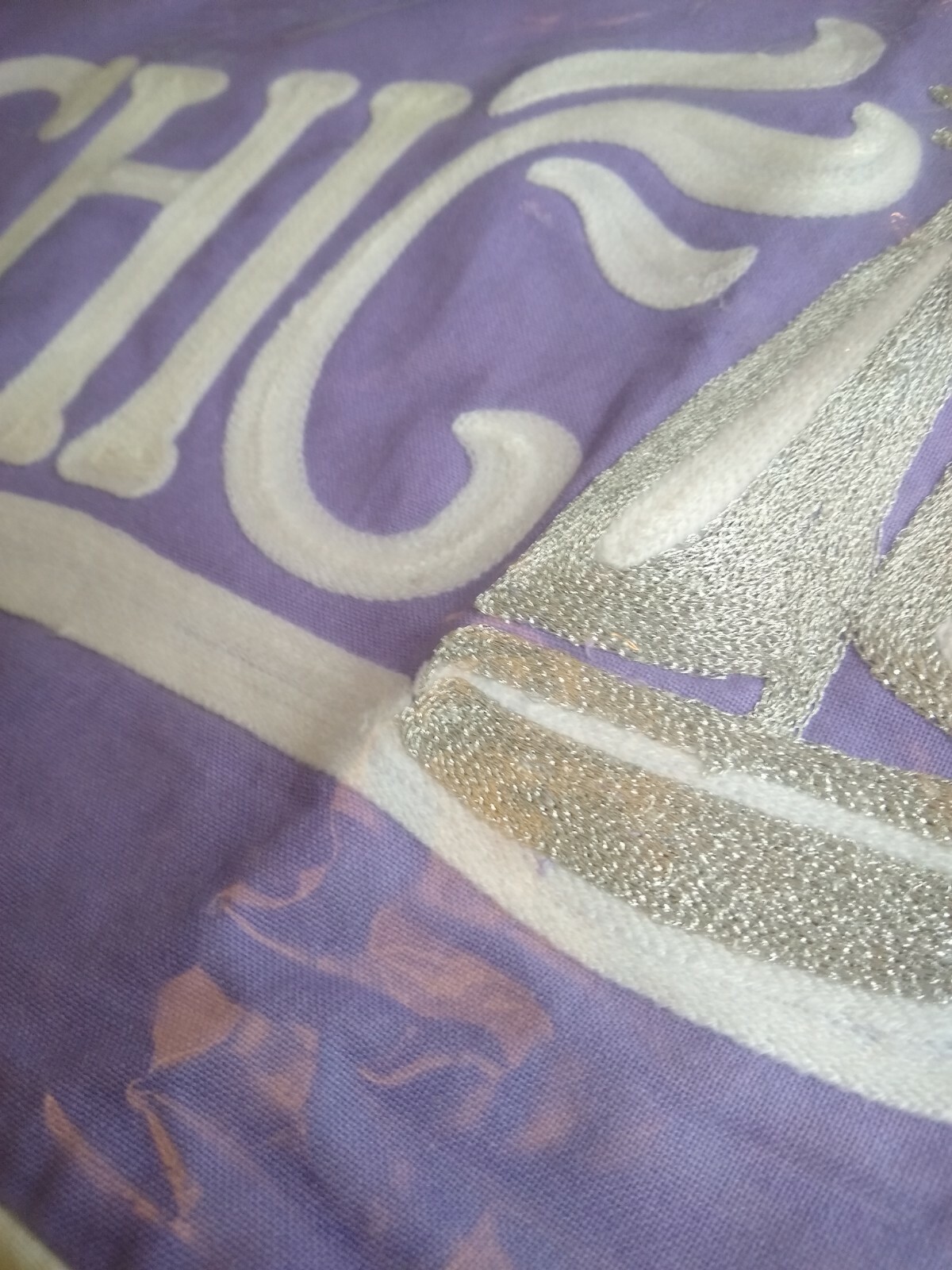 Pottery Barn Chicago Pillow Cover Purple embroidered NWT 12"X24" Nautical sham