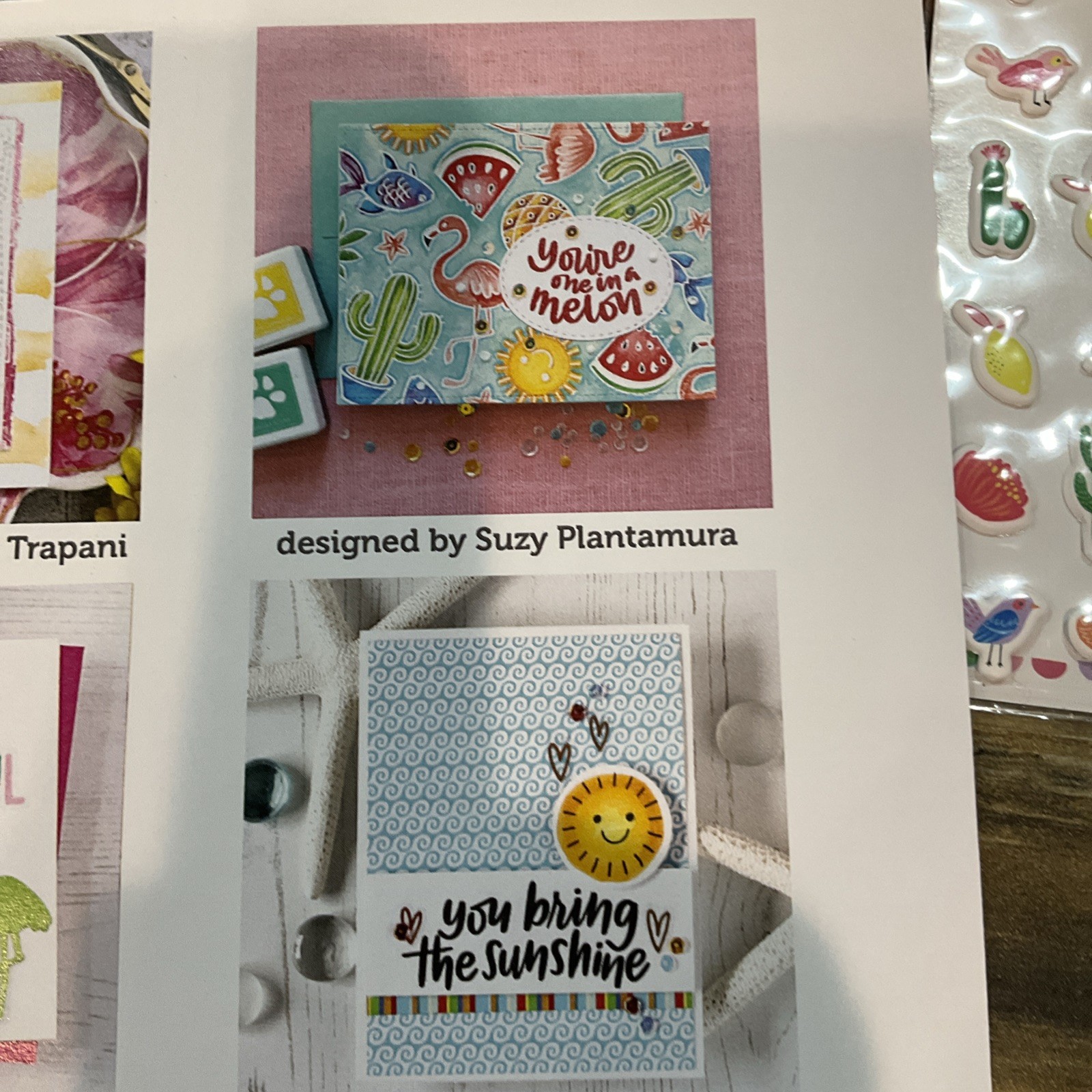 Simon Says Stamps Cool Summer Stamp And Craft Kit NIP