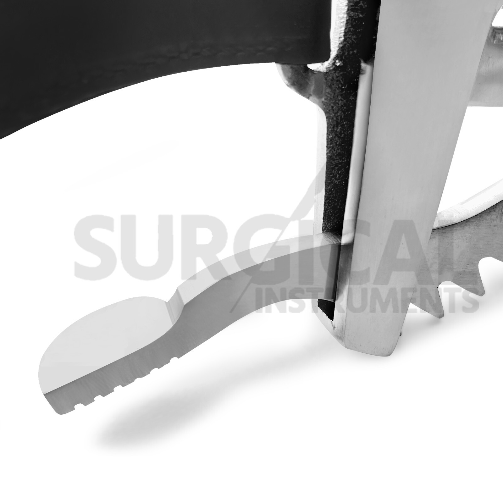 Equine Dental McPherson Speculum Horse Mouth Gag with Float Rasp German Grade