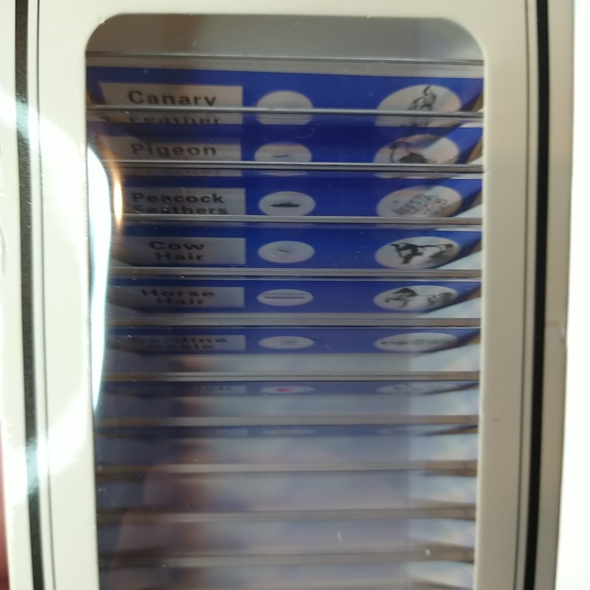 48Pcs Prepared Microscope Slides Specimen Animals Insects Plants Flowers Sample