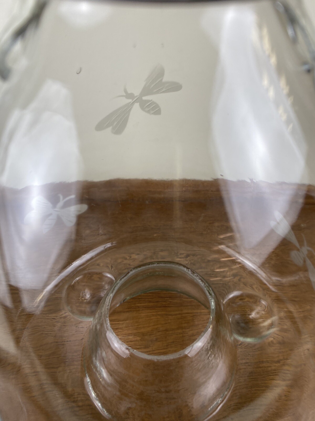 Glass Bee Catcher Trap Wasp Insect Fly Embossed Footed Hanging