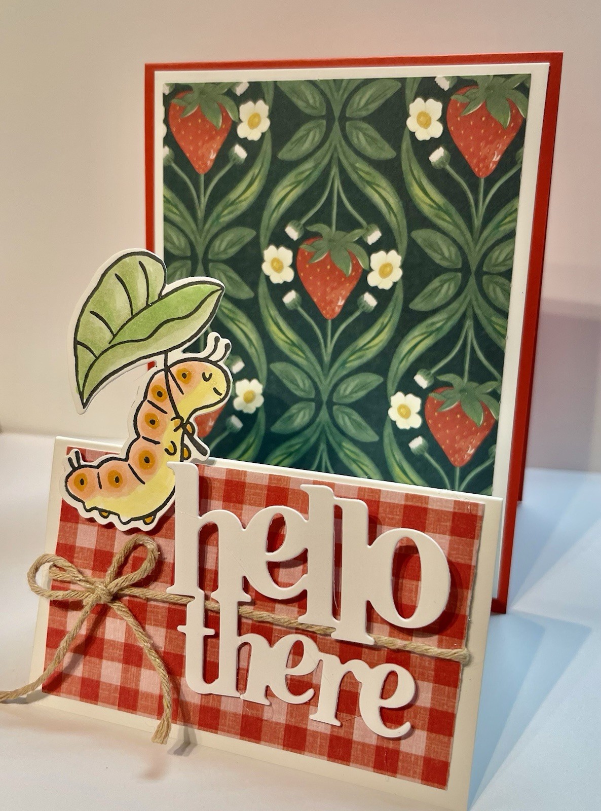 4 Stampin Up! SWEET BUGS “Hello There” Picnic Fun Double Fold DIY Card Kit