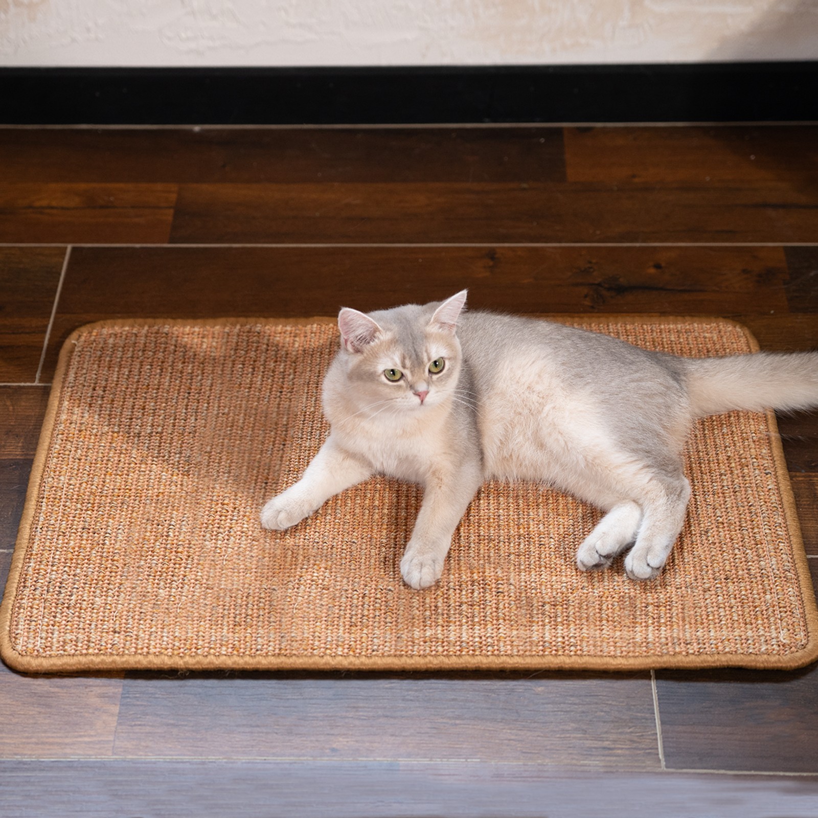 Cat Scratcher Mat, 23.6 X 15.7 Inch Sisal Cat Scratch Pad, Furniture Protection