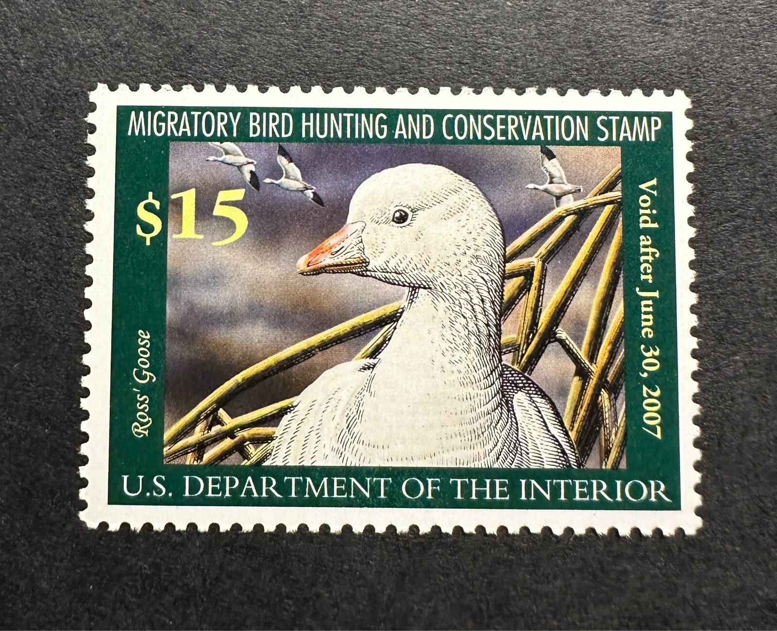 WTDstamps - #RW73 2006 - US Federal Duck Stamp - Mint OG NH