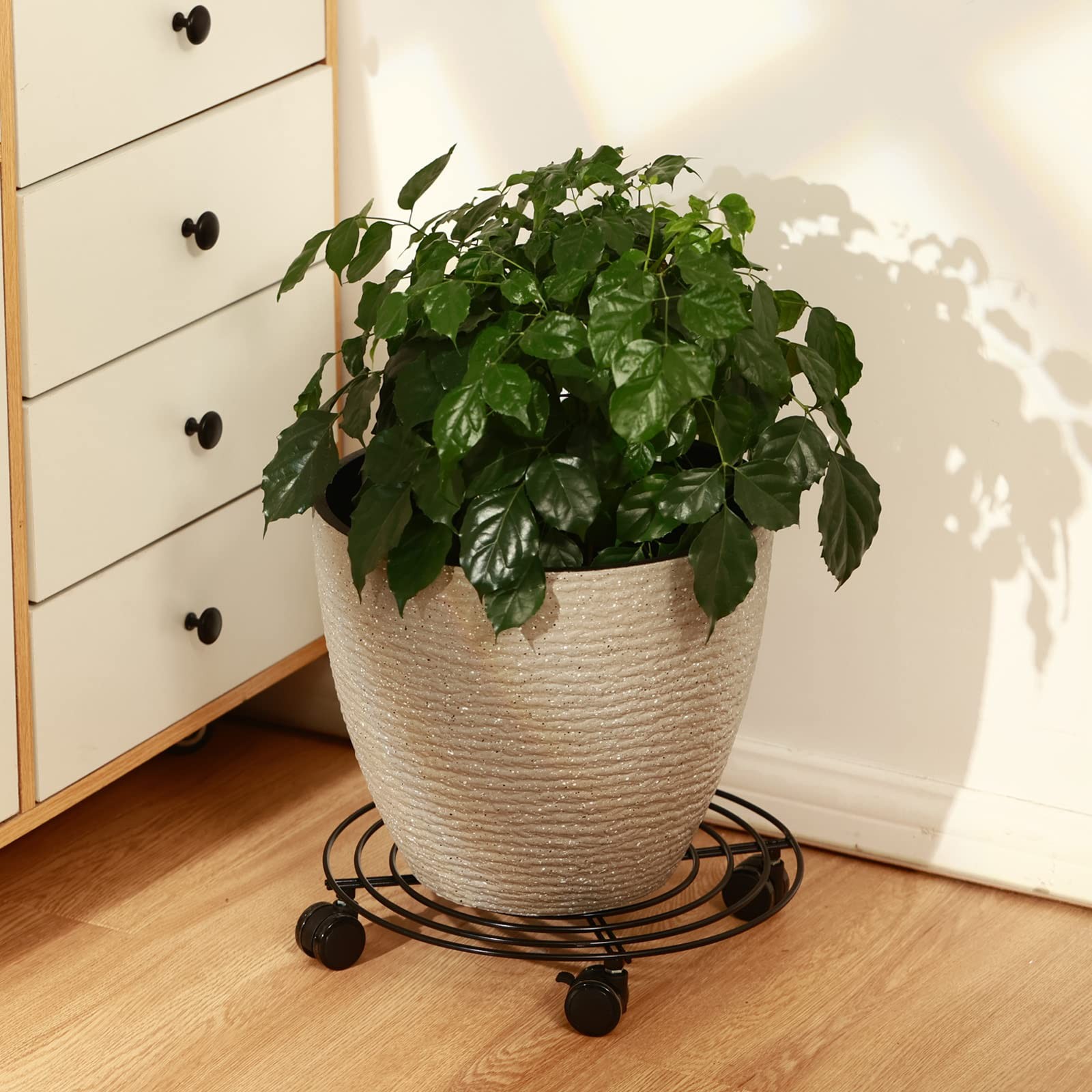 6 Packs 12 Inches Large Metal Plant Caddy with Wheels Rolling Plant Stands He...