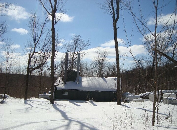 One Gallon 100% Pure Wisconsin Maple Syrup Grade A Medium Amber/Amber Rich Taste