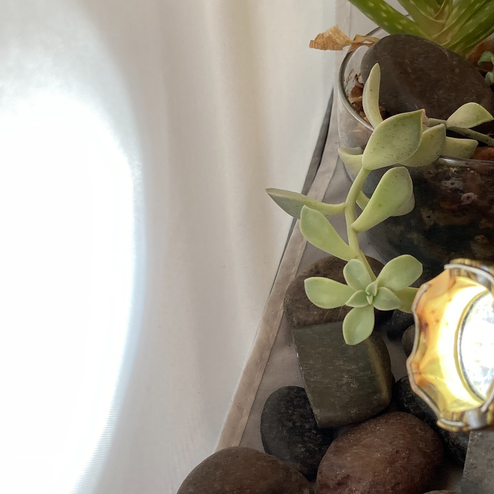 BLACK dayblade 1101 LED Flashlight Stun Gun 1000KV with 120v AC Charge Cord