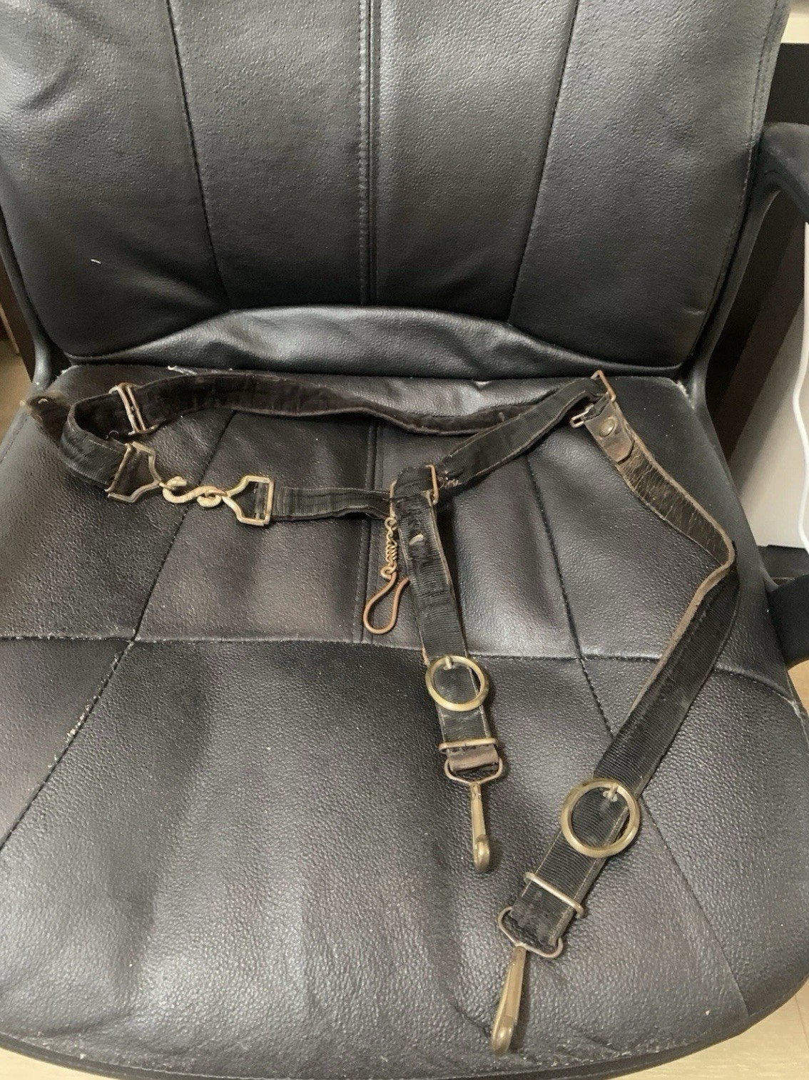 Ultra Rare Crimean War 2nd French Empire Imperial Army Officer Sword Belt 1850s