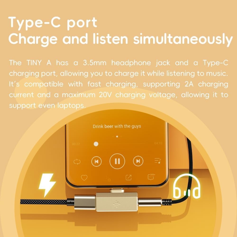 FiiO/Snowsky Tiny DAC Headphone Amp,PEQ,DSD256,PCM, 3.5mm+Type-C(Tiny A, Silver)