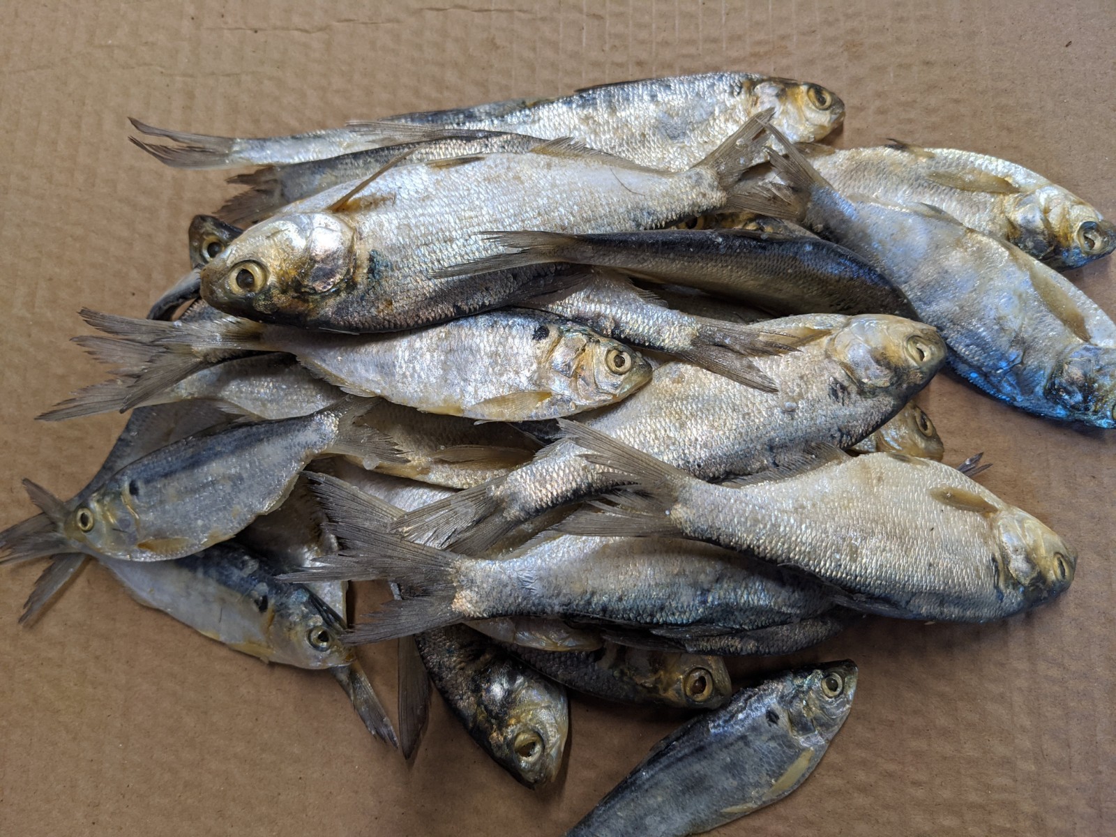 Bestbait Salted Shad Preserved Free Shipping