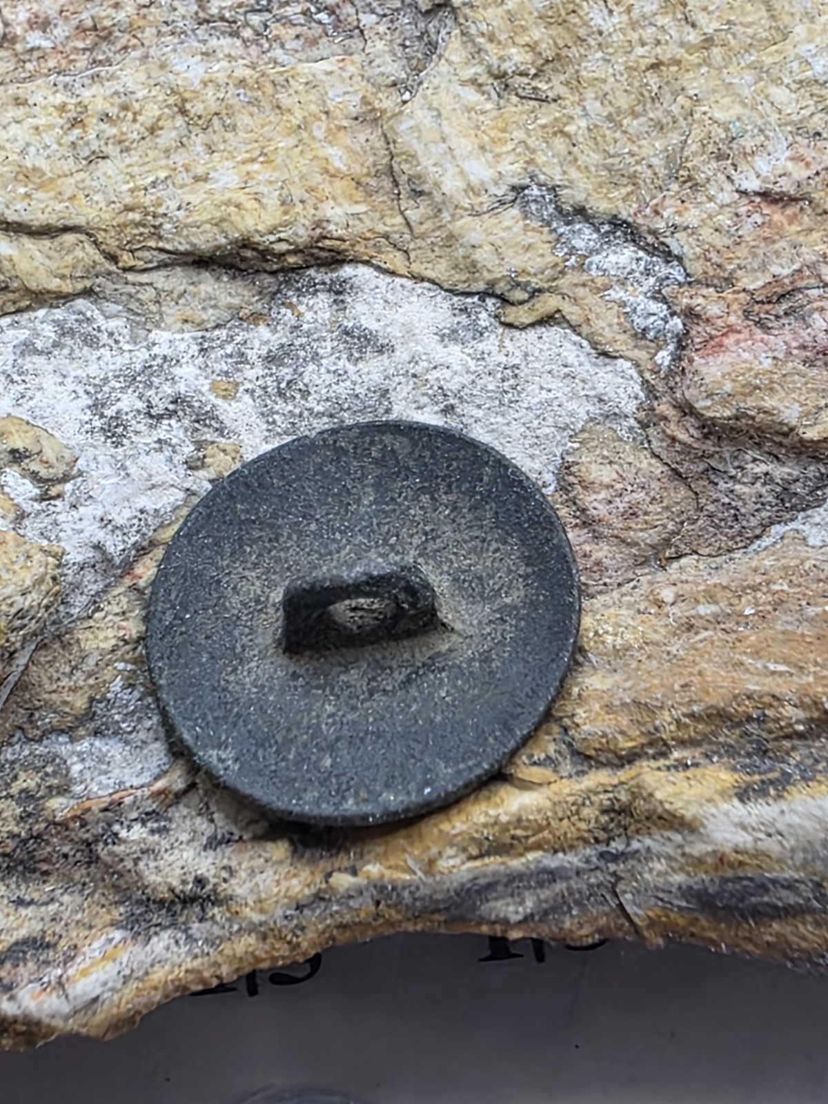 Mexico Spanish Colonial Military Button (Deer)