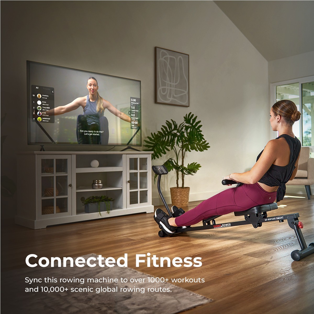 Sunny Health & Fitness Adjustable Rowing Machine Compact 12 Levels of Resistance