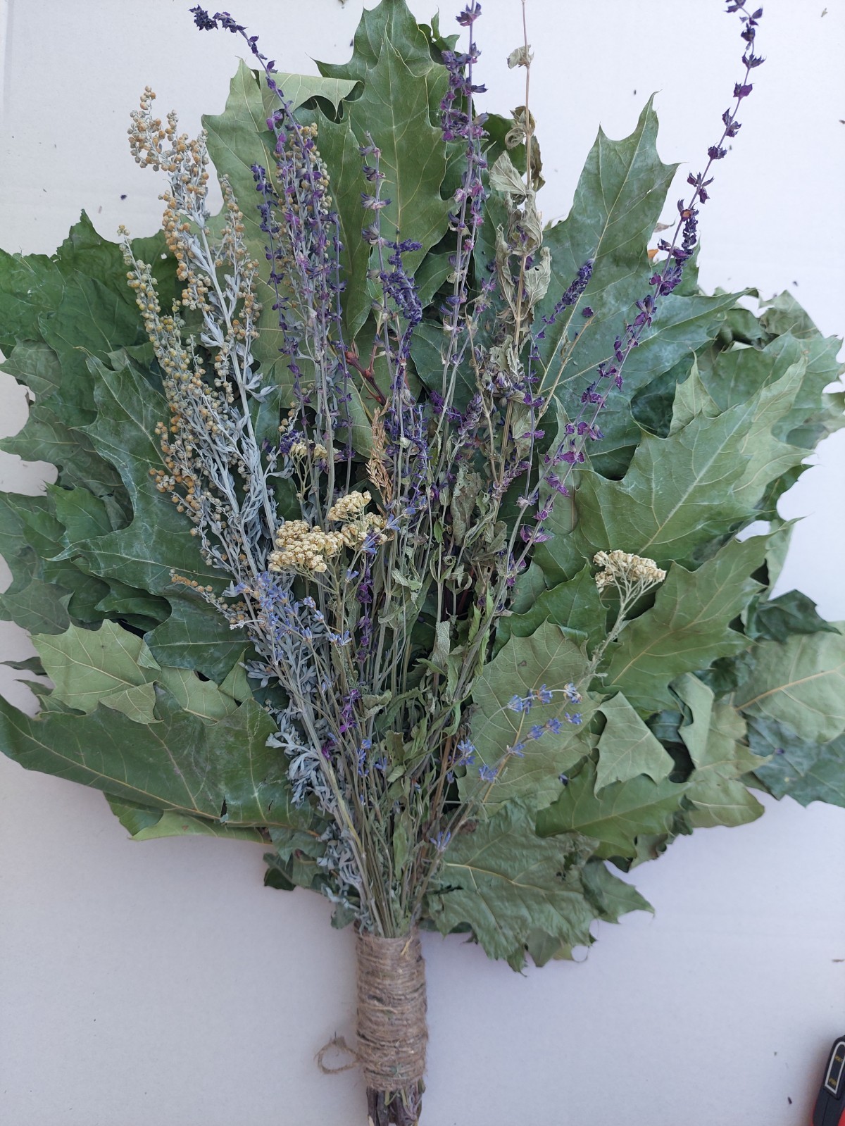 12st Oak canadian brooms+herbs sauna banya venik whisks Eiche 2025 Ukrainian fre