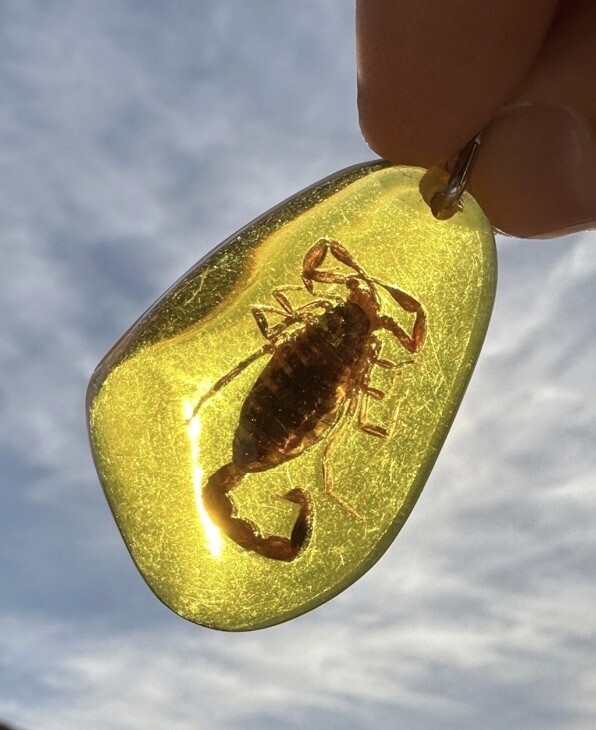 Scorpion Amber Keychain, Scorpion Keychain, Unique Keychain, Arizona Gift
