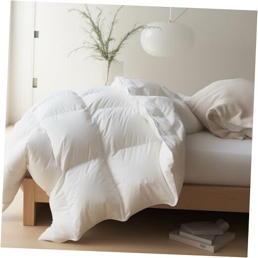 Oversized King Duvet Insert Comforter with 8 Super King White/All Season