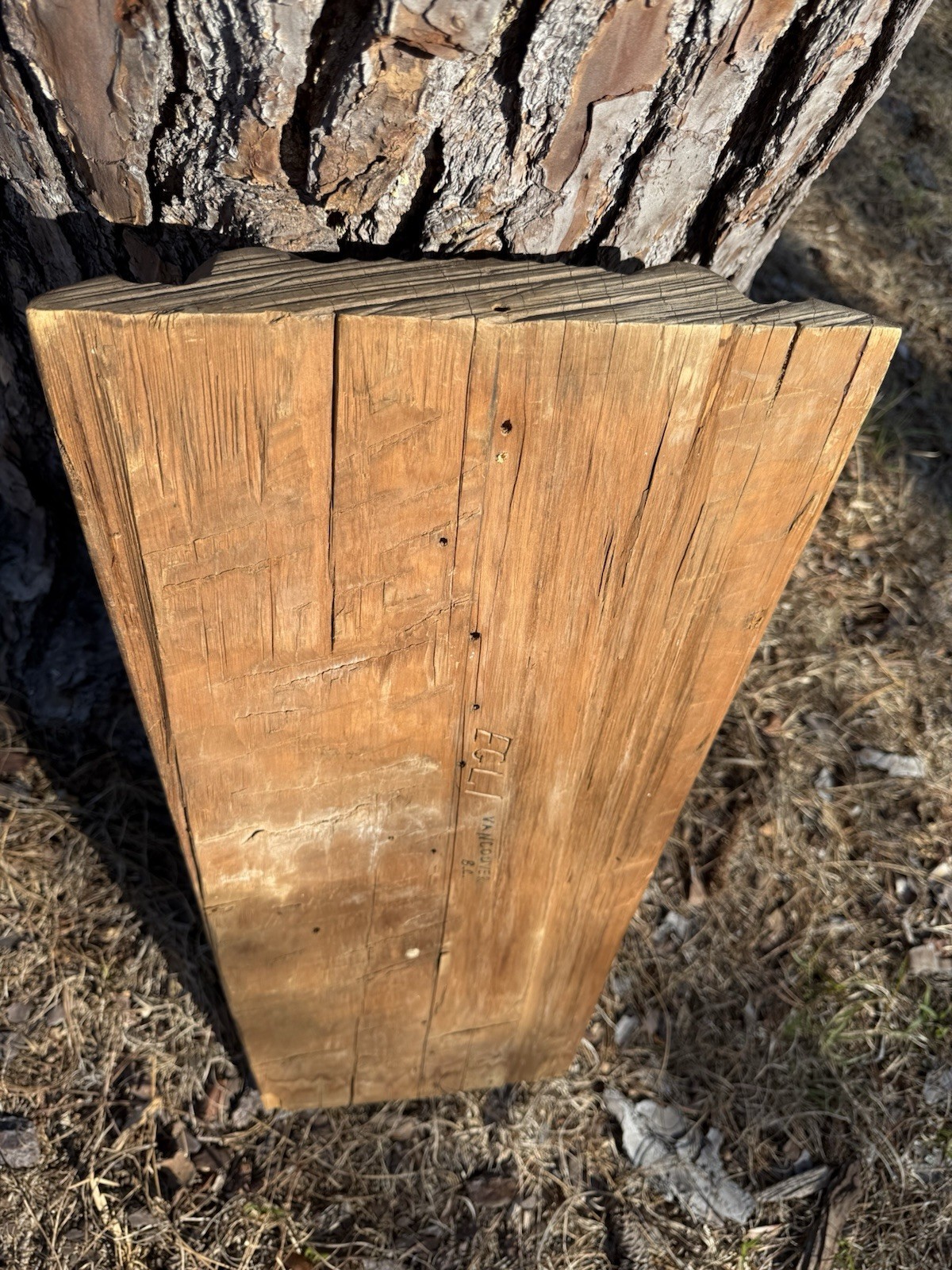 Northwest Coast OLD Large Carved Cedar Panel