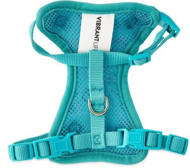 BLUE SUSHI DESIGN Vibrant Life Harness + Leash for Cats - One Size 5 - 10 lbs